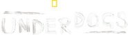 Logo of Underdogs image size 4293x1182