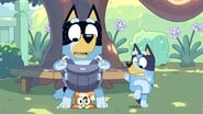 Bluey season 2 episode 13