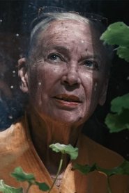 poster Aunt Iki