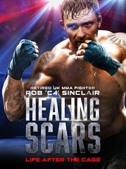 poster Healing Scars