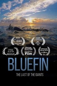 Bluefin 2017 123movies