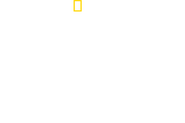 Logo of Maui Shark Mystery image size 3237x2160
