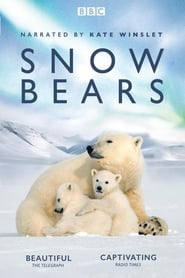 Snow Bears