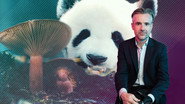 Biodiversity: Are We Protecting the Right Species?