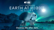 Backdrop of Earth at Night in Colour image size 3840x2160