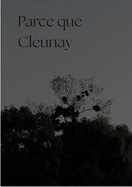 Parce que Cleunay movie poster