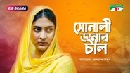 সোনালী ডানার চিল wallpaper 