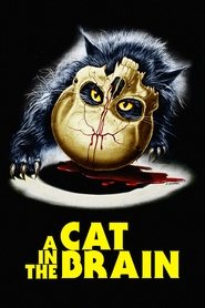 poster A Cat in the Brain