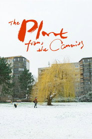 The Plant from the Canaries poster