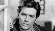 Alain Delon, l'ombre au tableau wallpaper 