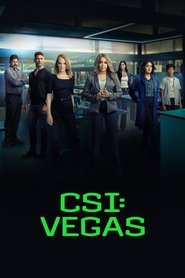 CSI: Vegas saison 2 episode 6 en streaming