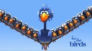 Backdrop of For the Birds image size 1920x1080