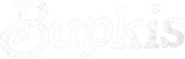 Logo of Bupkis image size 780x249
