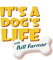 Logo of It's a Dog's Life with Bill Farmer image size 940x1065