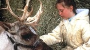 Jessie et le petit renne du Père Noël wallpaper 
