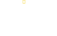 Logo of Lost Tombs of the Pyramids image size 2057x1300