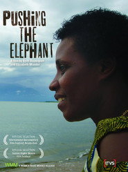 Pushing the Elephant poster