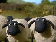 Shaun le mouton season 1 episode 21