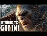 In Search of the Kiamichi Mountain Sasquatch