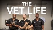 The Vet Life  