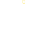 Logo of Baby Sharks image size 3840x2085