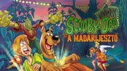 Scooby-Doo ! L’épouvantable épouvantail wallpaper 