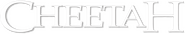 Logo of Cheetah image size 1908x350