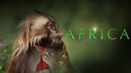 Afrique sauvage  