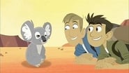 Wild Kratts season 1 episode 22