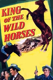 poster King of the Wild Horses