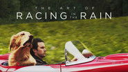 Backdrop of The Art of Racing in the Rain image size 1920x1080