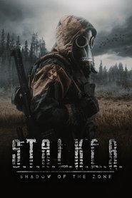 Poster of S.T.A.L.K.E.R. Shadow of the Zone image size 2000x3000