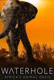 Poster of Waterhole: Africa's Animal Oasis image size 680x1000