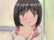 The Festival, fireworks and...