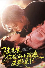 陆先生你捡的小玫瑰又掀桌了