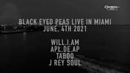 Black Eyed Peas - Live Bayfront Park Miami wallpaper 