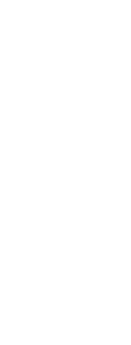 Logo of 40 Days and 40 Nights image size 205x538