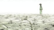 Mushishi season 1 episode 9