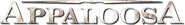 Logo of Appaloosa image size 400x55
