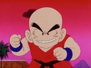 Dragon Ball season 1 episode 96