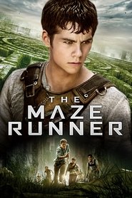 Poster of The Maze Runner image size 2000x3000