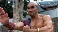 American Shaolin wallpaper 