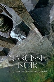 Voir film Le Narcisse noir en streaming