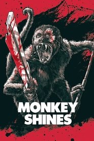 Monkey Shines Poster of Monkey Shines image size 500x750