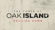 The Curse of Oak Island: Drilling Down  