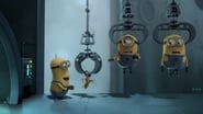 La Folie des Minions : Banana wallpaper 