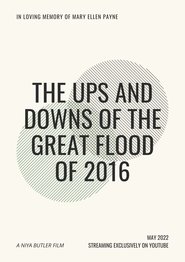 poster The Ups and Downs of the Great Flood of 2016