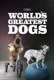 poster World's Greatest Dogs