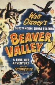 Poster of Beaver Valley image size 813x1246
