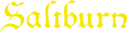 Logo of Saltburn image size 4305x1126